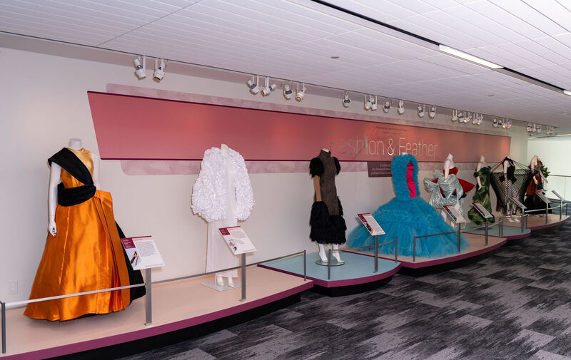 fashion-feather-the-show