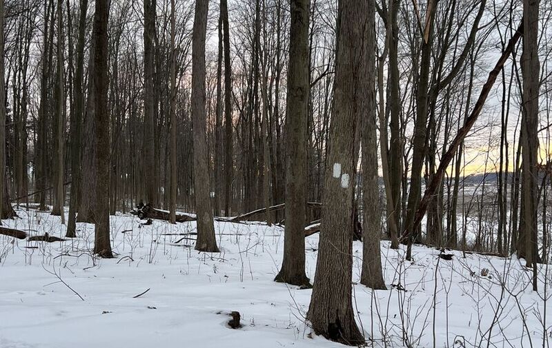 /explore/calendar/2026/01/25/special-sunday-winter-walk-hiking-the-buckeye-trail