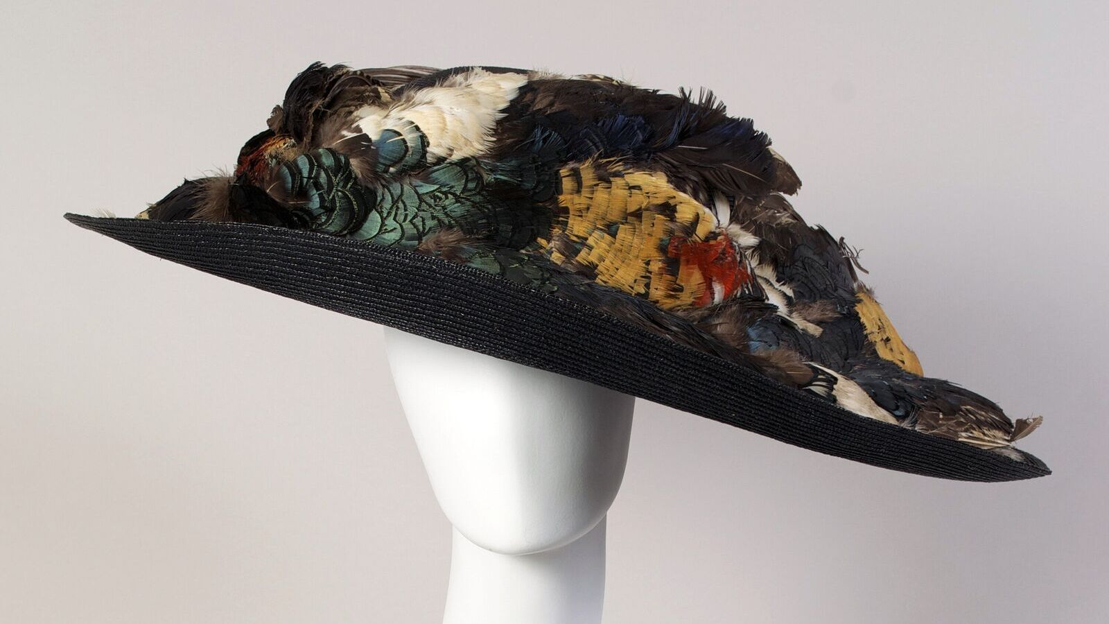 Fashion & Feather | Apr 22 — Oct 16, 2026 | Cleveland Museum of Natural History