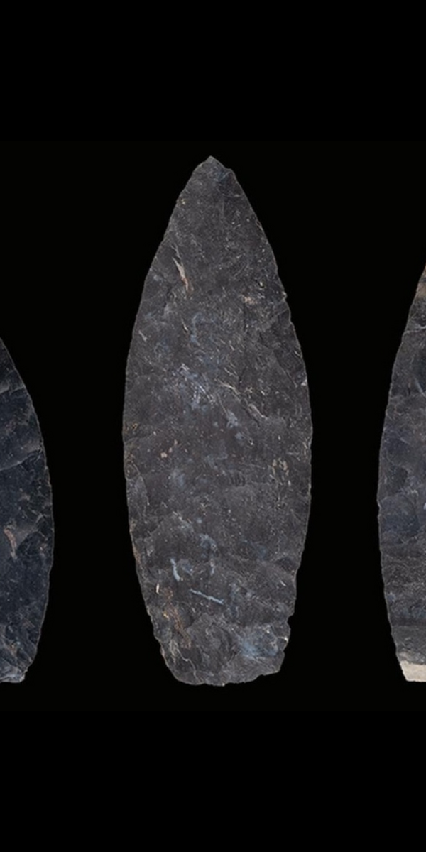 Beneath an Ohio Golf Course, a Young Explorer Makes a Rare Archaeological Discovery