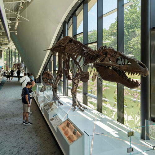 Museum Welcomes Four New Members to Board of Directors 