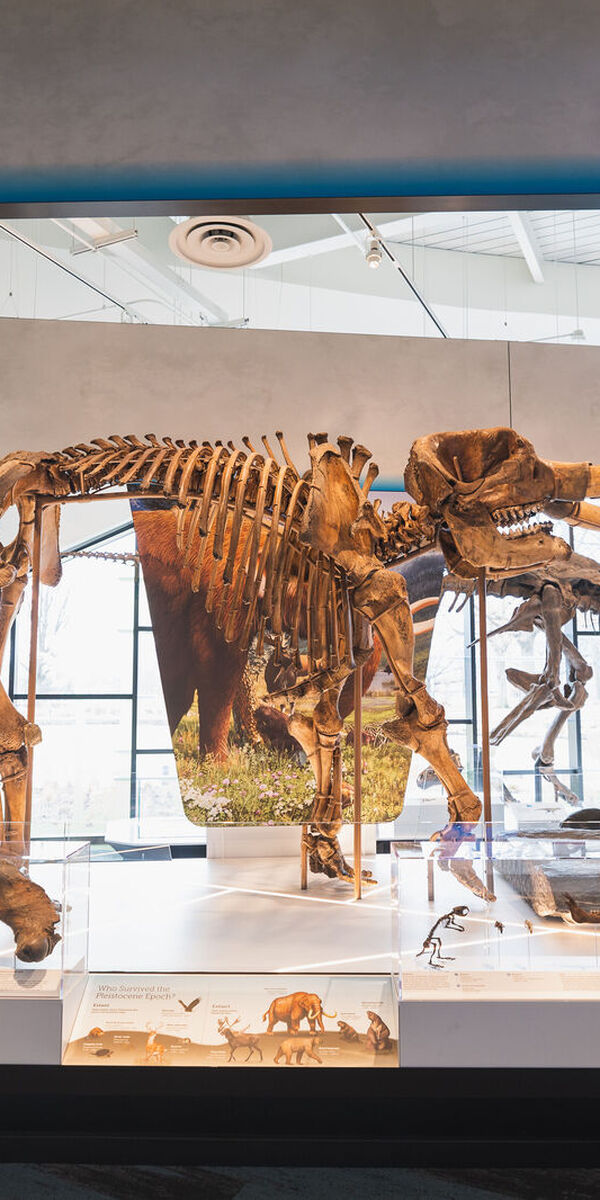 From Ancient Seas to Ice Age Giants: A Spotlight on Ohio Natural History