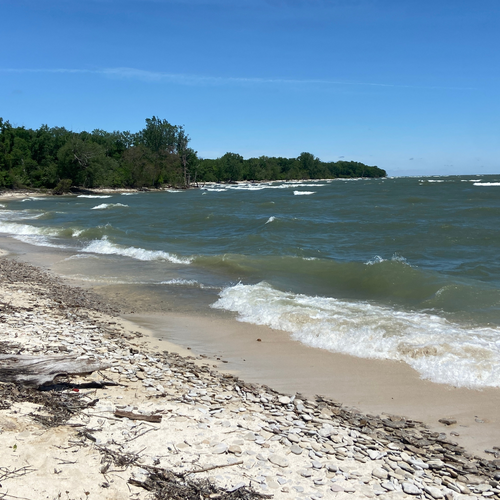 Museum Highlights New Improvements at Scheele Preserve on Kelleys Island
