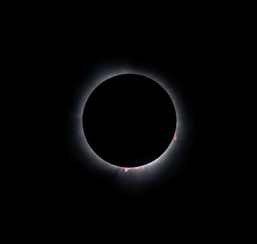 museum-hosts-total-on-the-oval-eclipse-watch-party