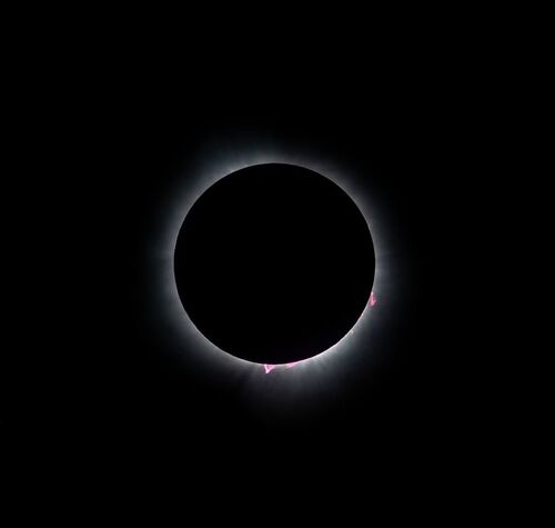 museum-announces-total-solar-eclipse-events
