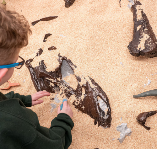 a-summer-of-science-awaits-museum-opens-2026-camp-registration