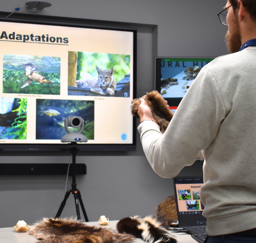 the-museum-reaches-250000-participants-through-virtual-field-trips