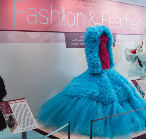 museum-launches-new-accessible-content-for-fashion-feather-exhibition