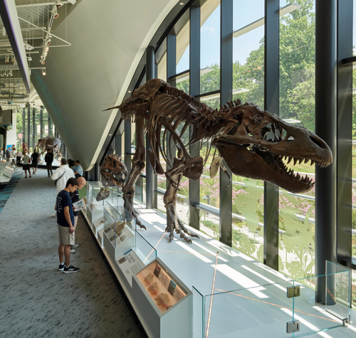 museum-welcomes-four-new-members-to-board-of-directors