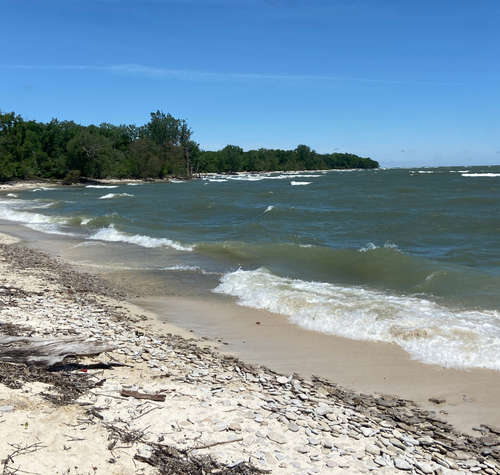 museum-highlights-new-improvements-at-scheele-preserve-on-kelleys-island