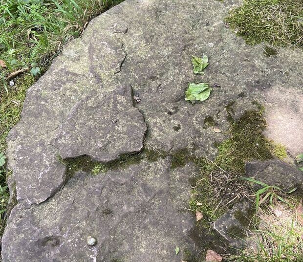 Alvar limestone bedrock