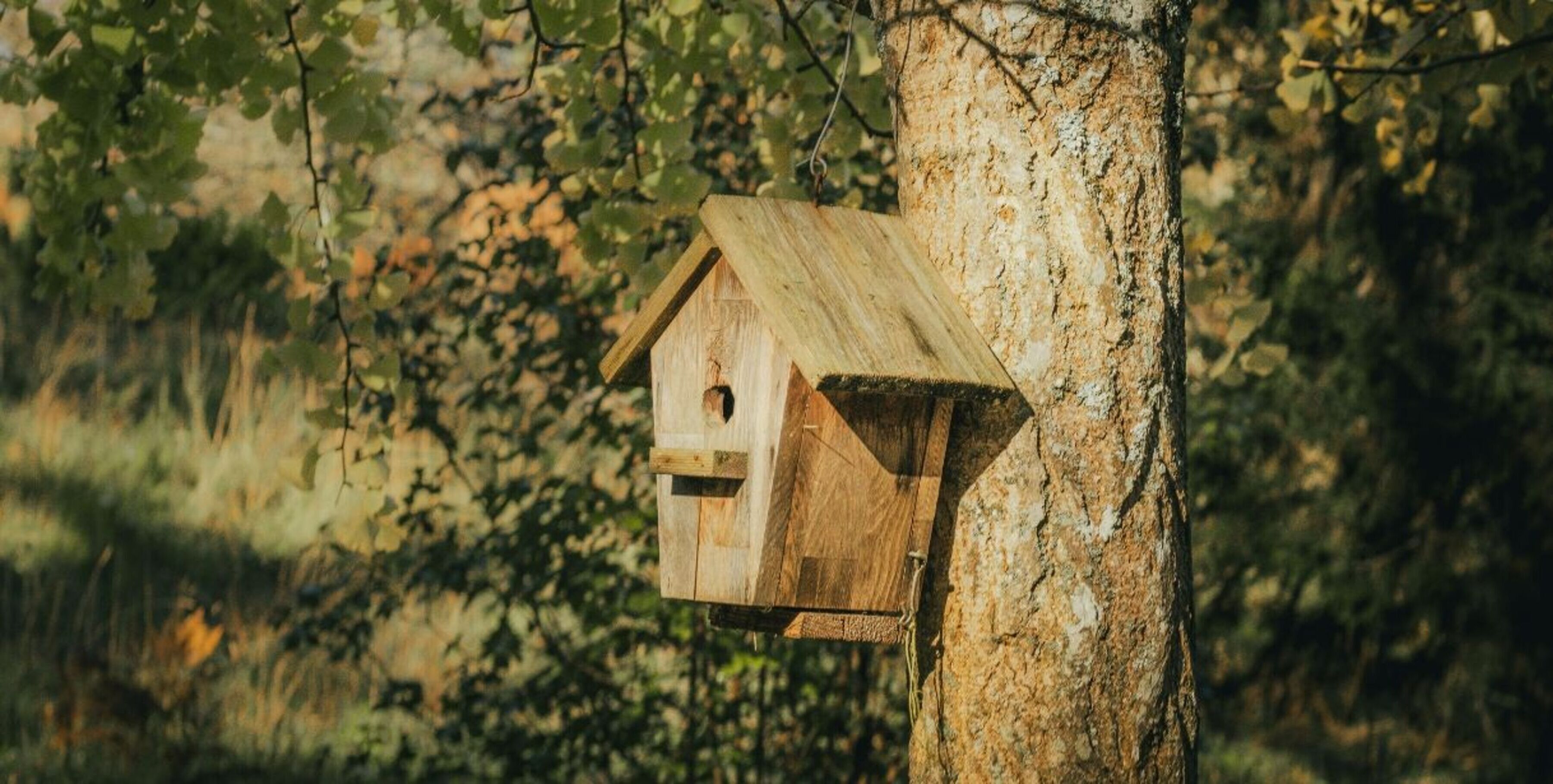 Small wooden birdhouse nailed to a tree trunk