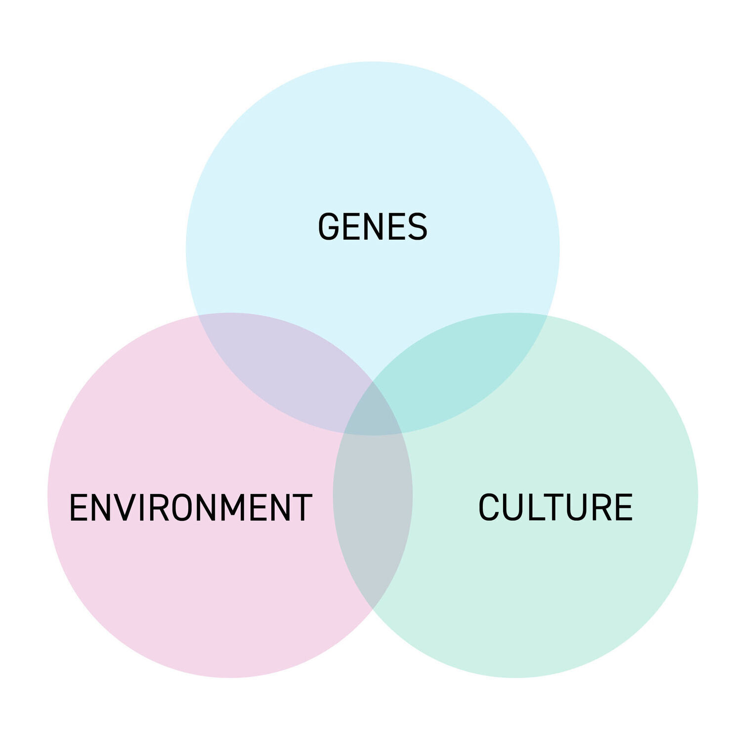 Genes culture environment1 1