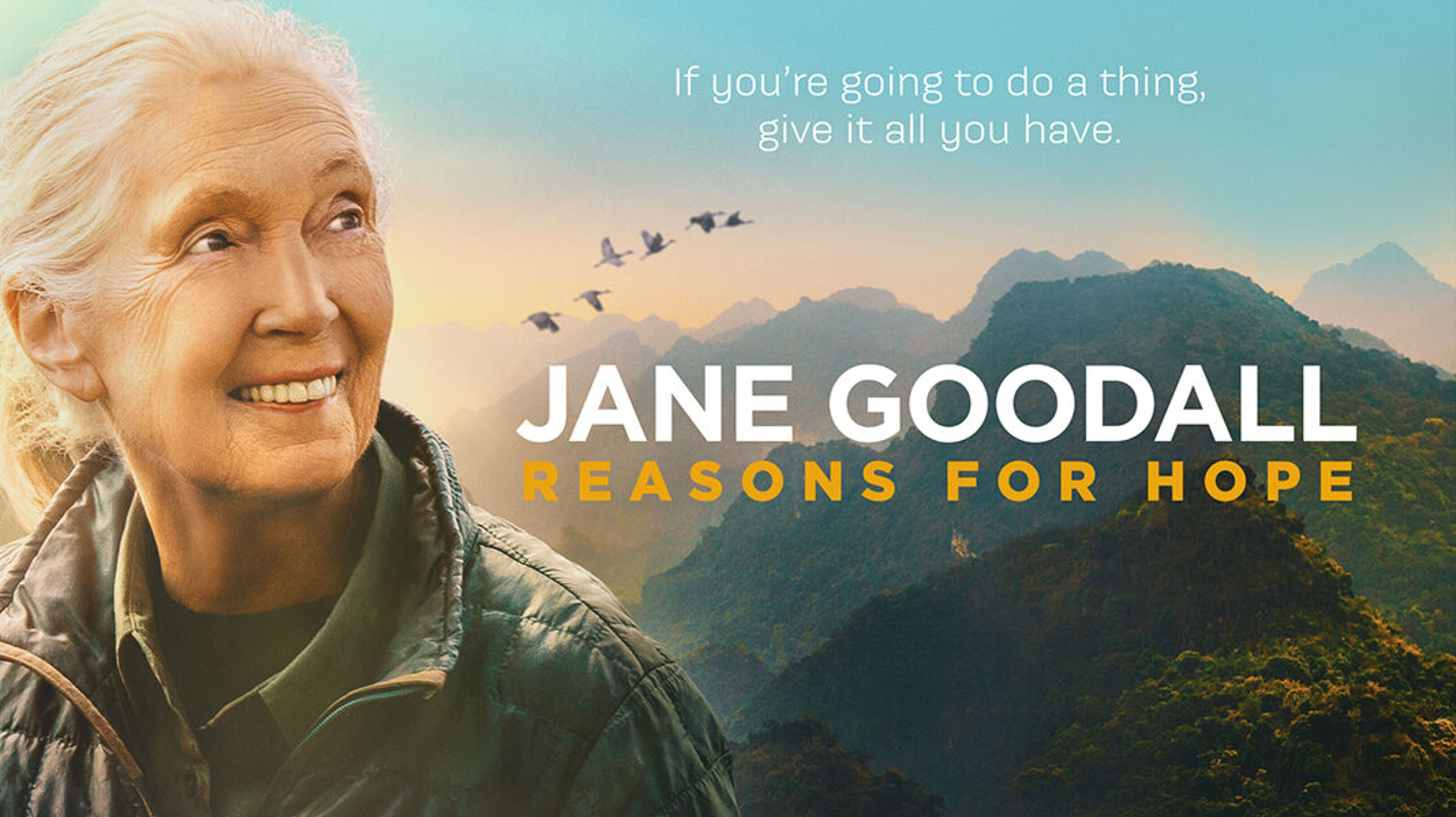 Janegoodallbanner.nobillingblock