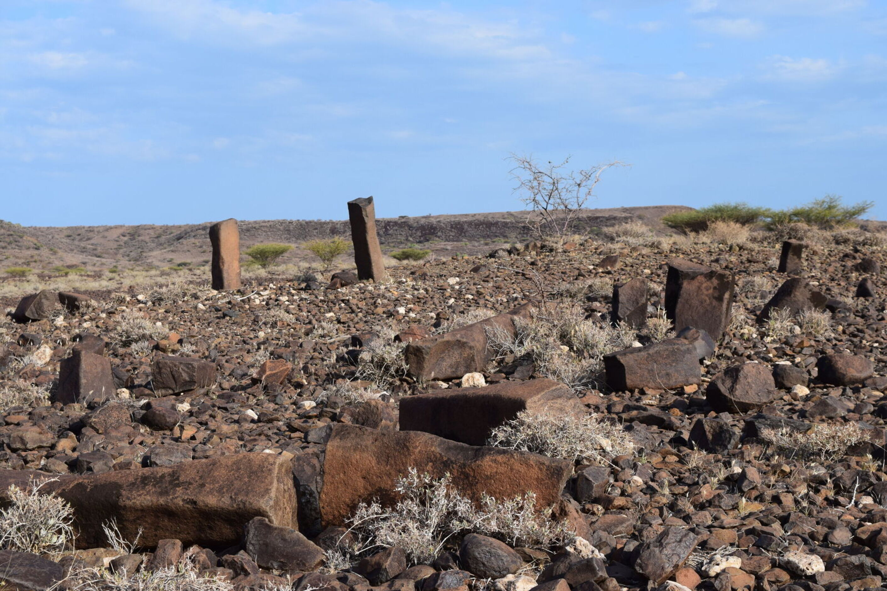 Megalithic cemetery site