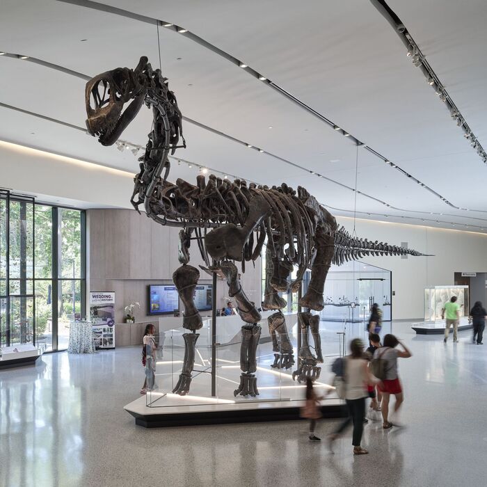 about/museum-leadership