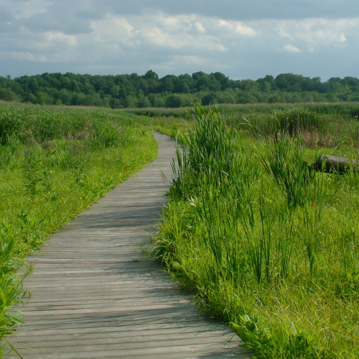 science-conservation/areas-of-study/natural-areas-conservation/projects/mentor-marsh-master-plan