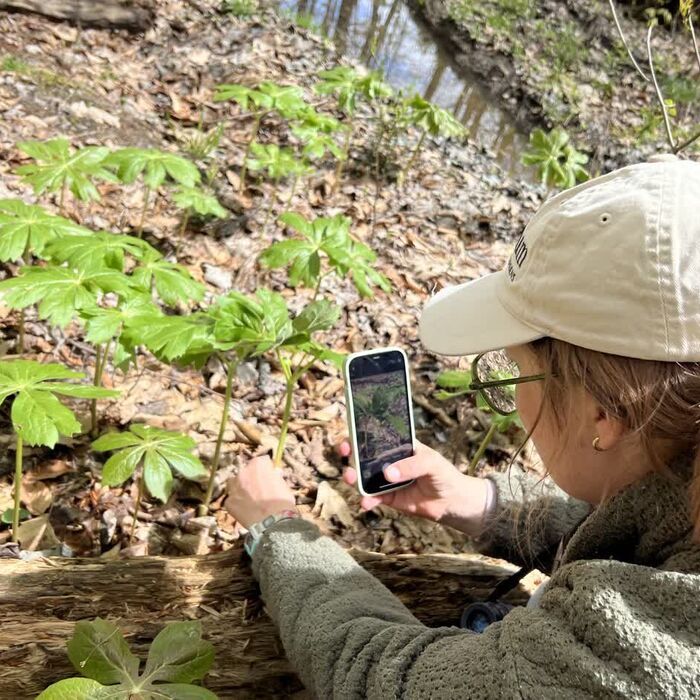 explore/public-programs/city-nature-challenge