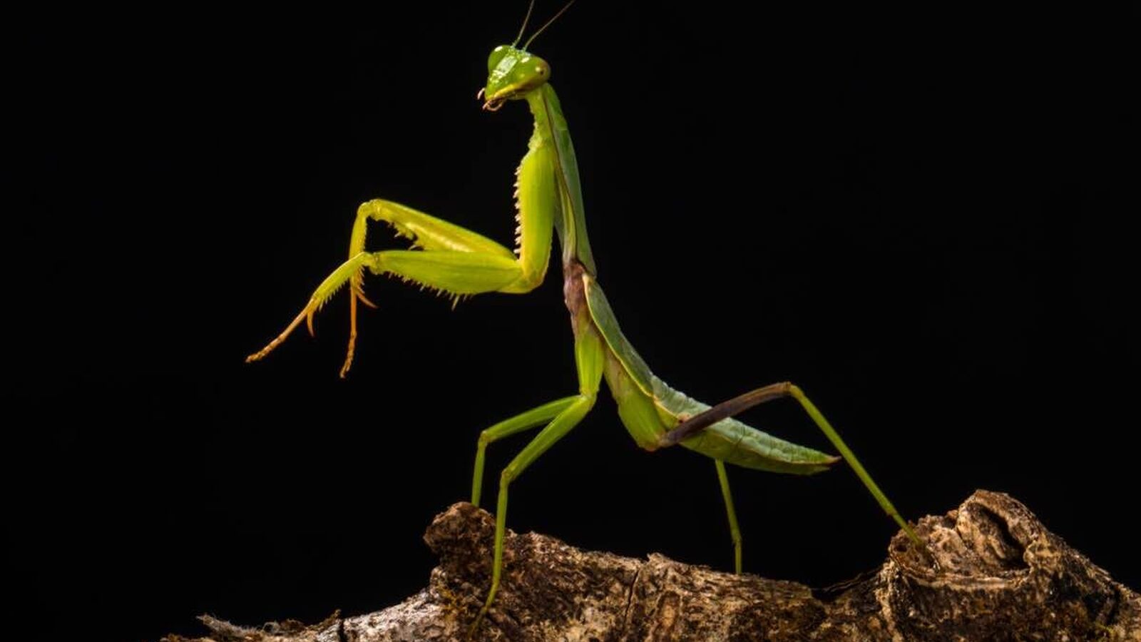 Science of Seeking Snacks | Cleveland Museum of Natural History